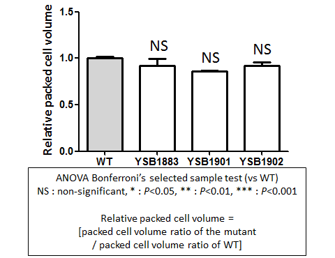 Capsule phenotype for CNAG_05439T0