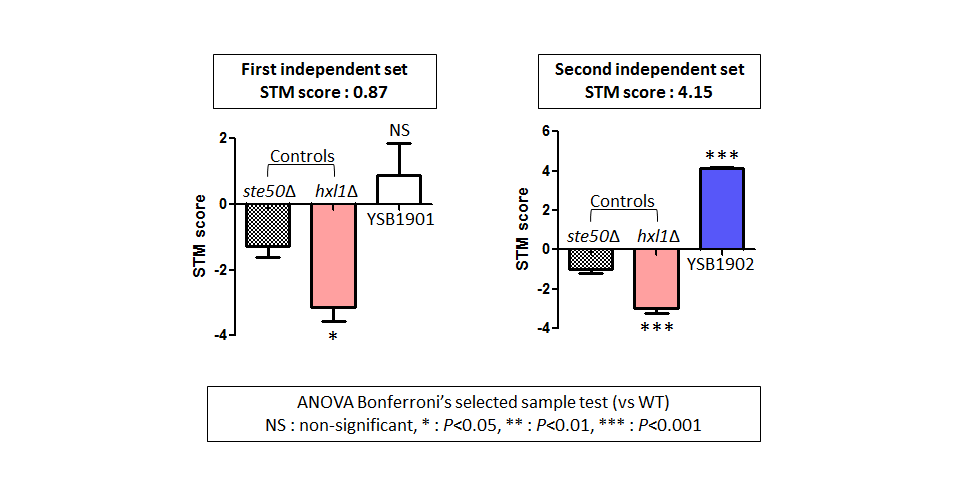 STM murine host model data for CNAG_05439T0