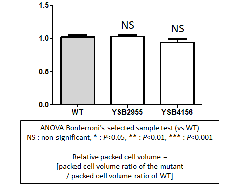 Capsule phenotype for CNAG_05558T0