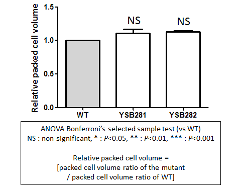Capsule phenotype for CNAG_05590T0
