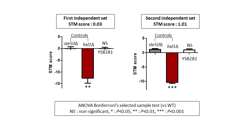 STM murine host model data for CNAG_05590T0