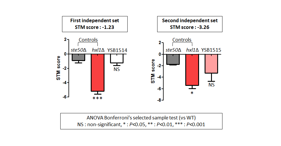 STM murine host model data for CNAG_05600T0