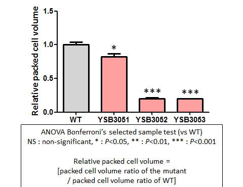 Capsule phenotype for CNAG_05694T0