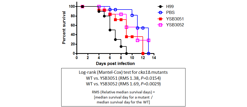 Galleria mellonella virulence data for CNAG_05694T0