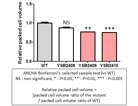 Capsule phenotype for CNAG_05753T0