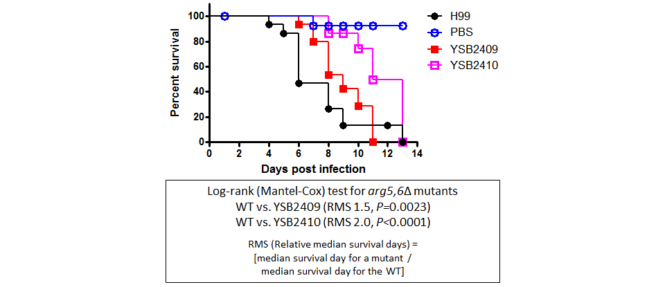 Galleria mellonella virulence data for CNAG_05753T0