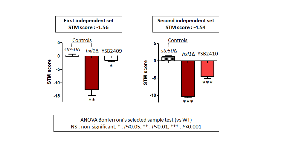 STM murine host model data for CNAG_05753T0