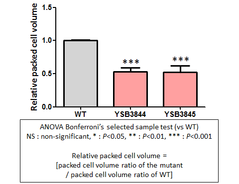 Capsule phenotype for CNAG_05771T1