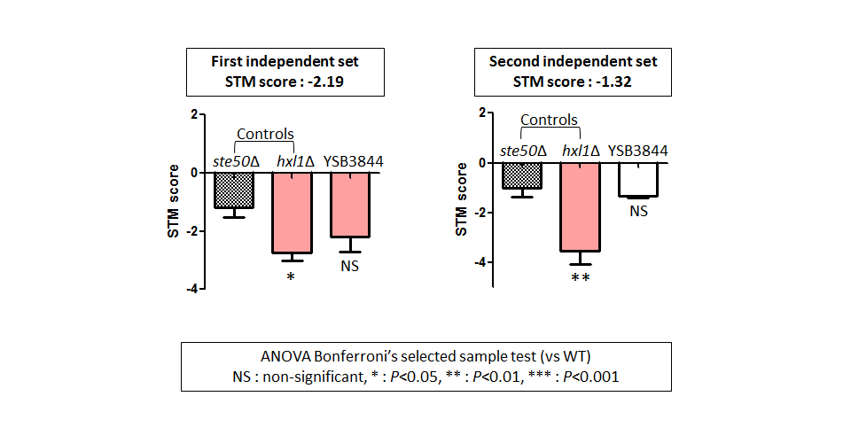 STM murine host model data for CNAG_05771T1
