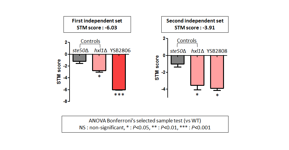 STM murine host model data for CNAG_05965T0
