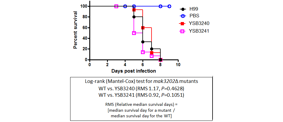 Galleria mellonella virulence data for CNAG_06033T0