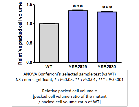 Capsule phenotype for CNAG_06051T0