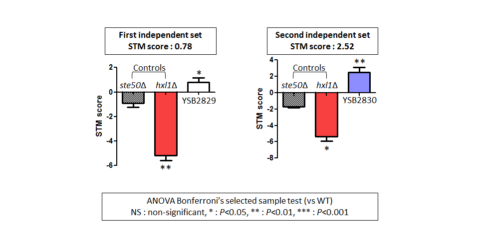 STM murine host model data for CNAG_06051T0
