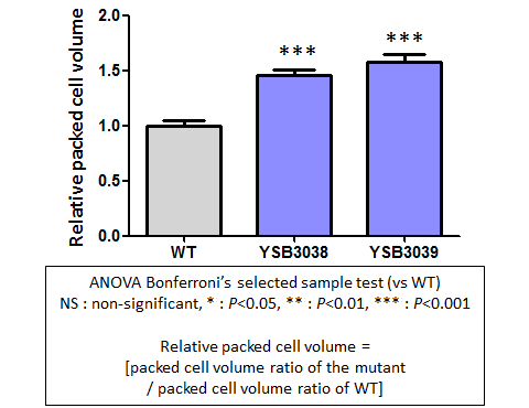 Capsule phenotype for CNAG_06086T0