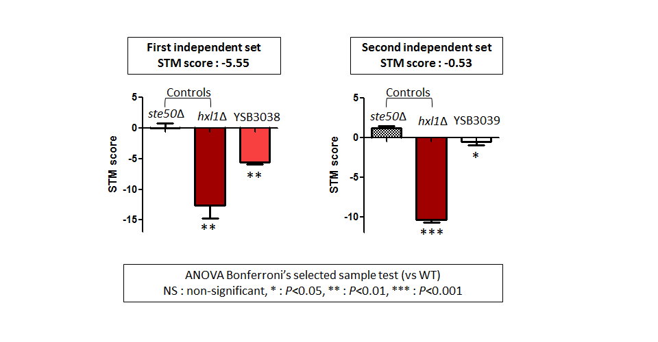 STM murine host model data for CNAG_06086T0