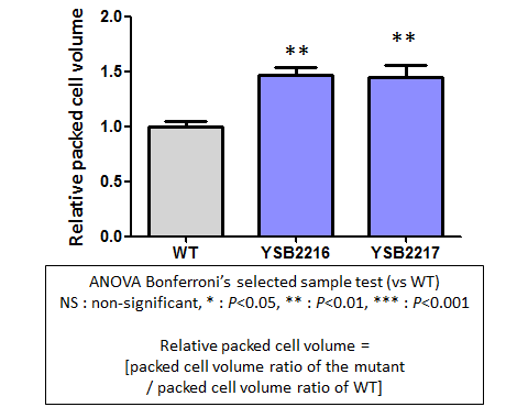 Capsule phenotype for CNAG_06161T0