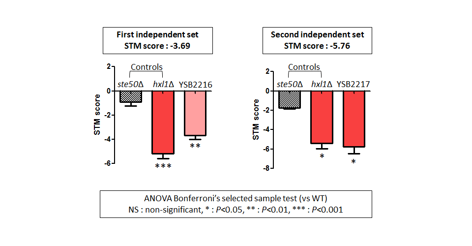 STM murine host model data for CNAG_06161T0