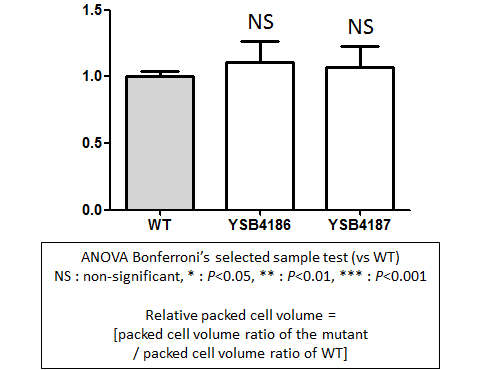 Capsule phenotype for CNAG_06278T0