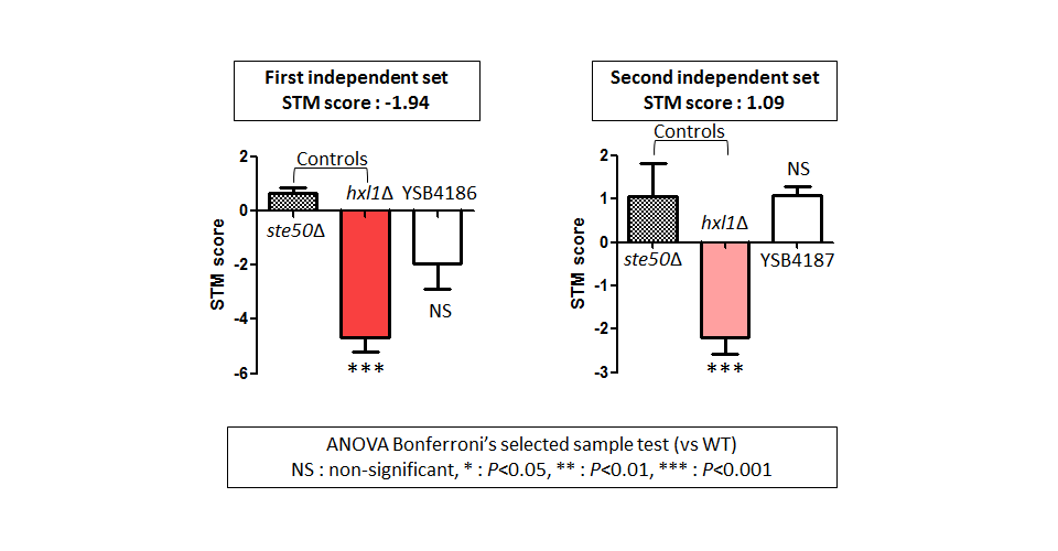 STM murine host model data for CNAG_06278T0