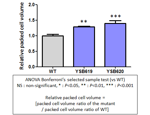 Capsule phenotype for CNAG_06301T0
