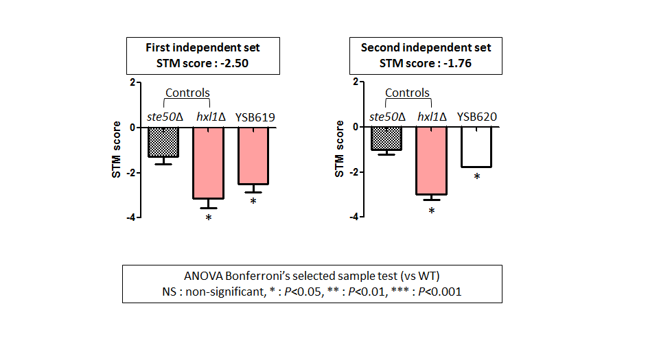 STM murine host model data for CNAG_06301T0
