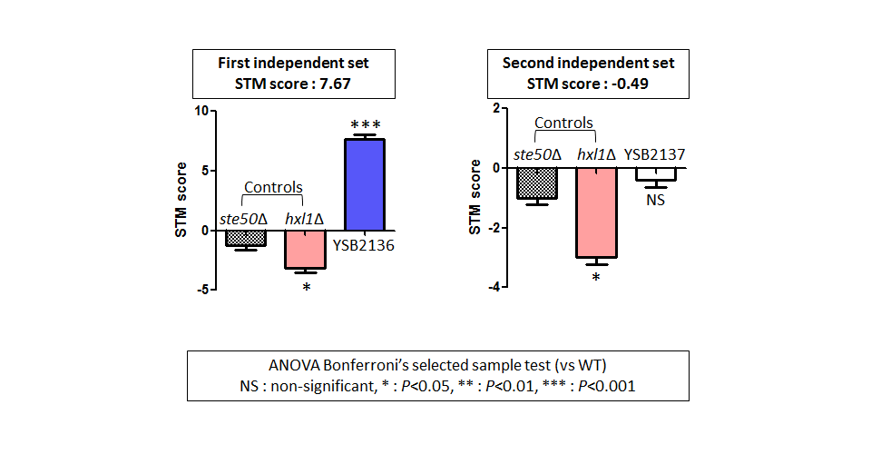 STM murine host model data for CNAG_06310T0