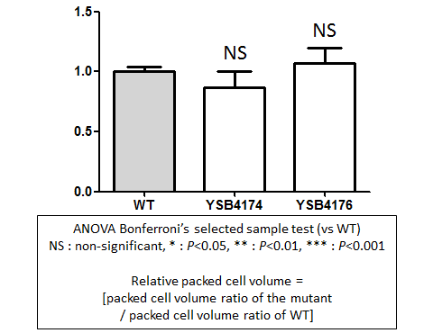 Capsule phenotype for CNAG_06366T0