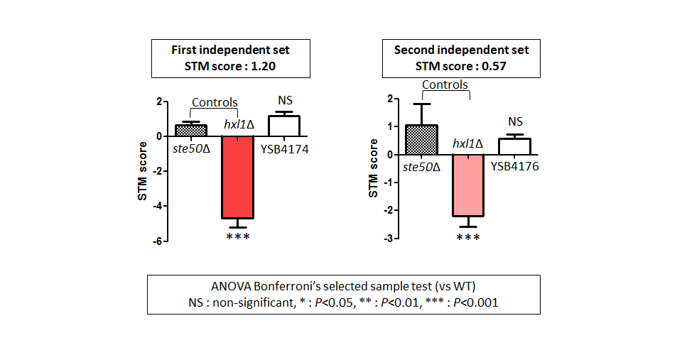 STM murine host model data for CNAG_06366T0