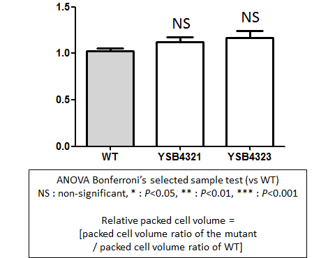 Capsule phenotype for CNAG_06490T0