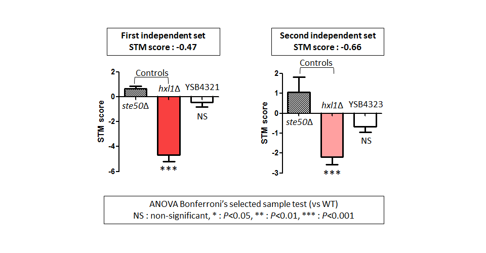 STM murine host model data for CNAG_06490T0