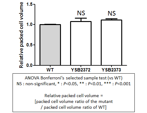 Capsule phenotype for CNAG_06552T0