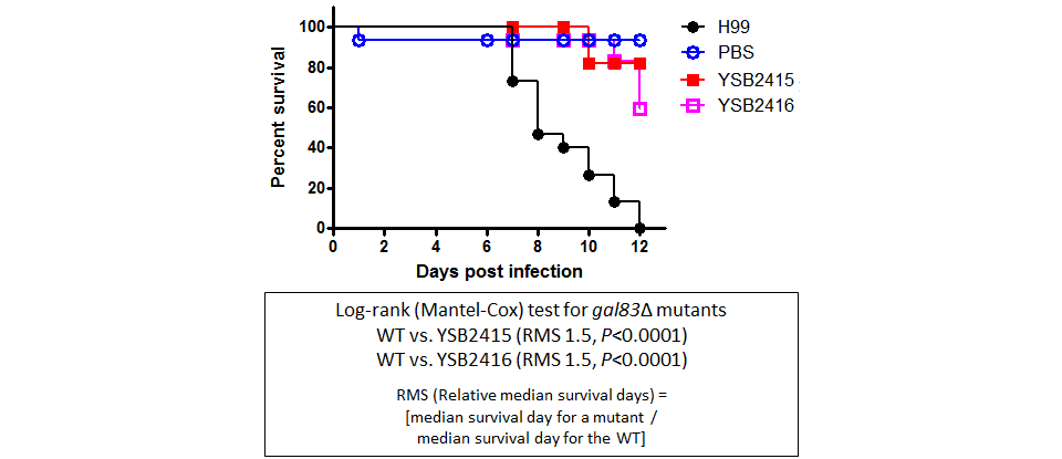 Galleria mellonella virulence data for CNAG_06553T0