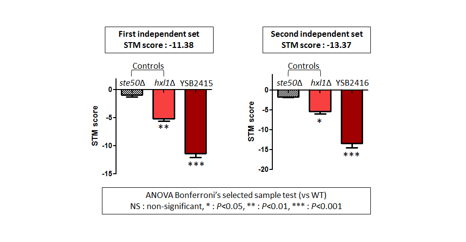 STM murine host model data for CNAG_06553T0