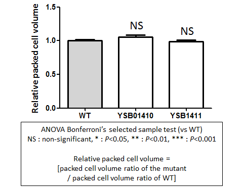 Capsule phenotype for CNAG_06568T0