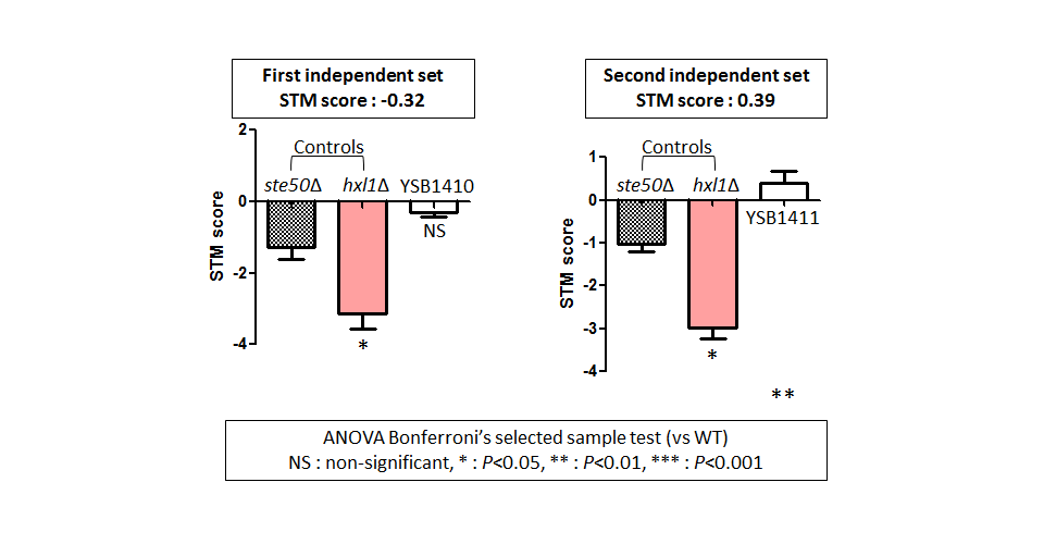 STM murine host model data for CNAG_06568T0