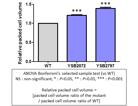 Capsule phenotype for CNAG_06632T0