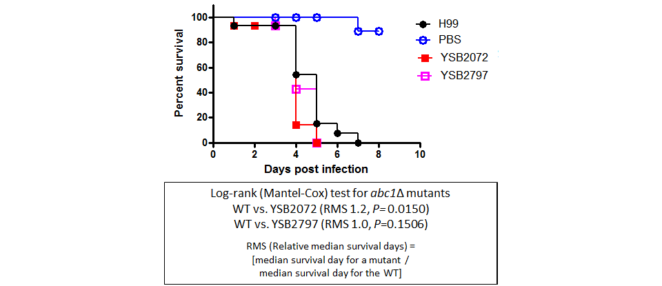 Galleria mellonella virulence data for CNAG_06632T0
