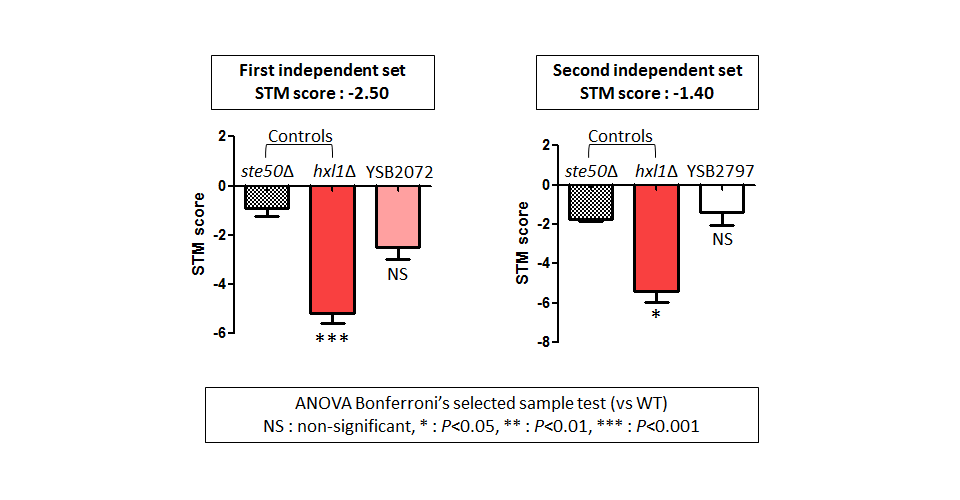 STM murine host model data for CNAG_06632T0