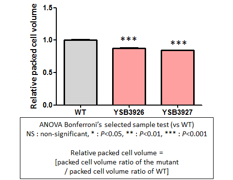 Capsule phenotype for CNAG_06671T0