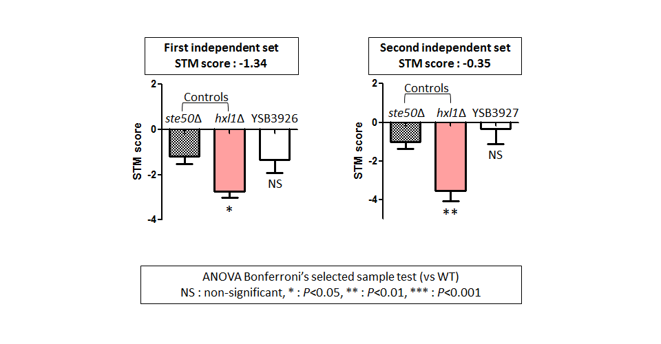 STM murine host model data for CNAG_06671T0
