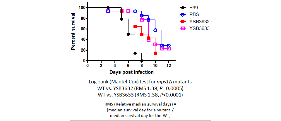 Galleria mellonella virulence data for CNAG_06697T0