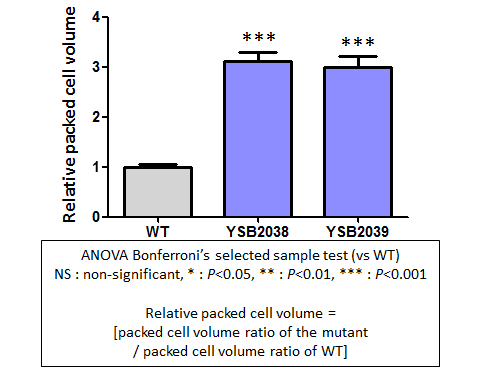 Capsule phenotype for CNAG_06730T0