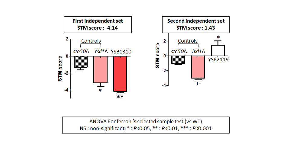 STM murine host model data for CNAG_06809T0