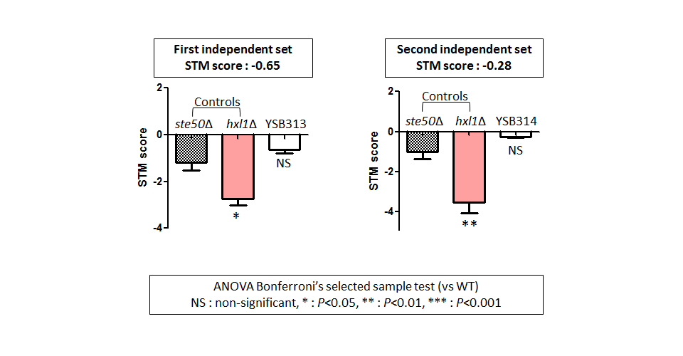 STM murine host model data for CNAG_06980T0