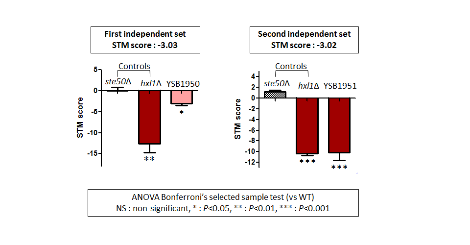 STM murine host model data for CNAG_07359T0