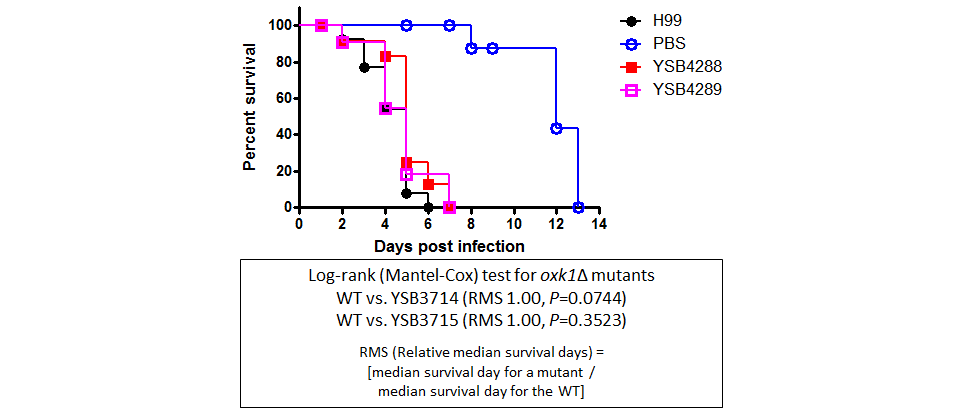 Galleria mellonella virulence data for CNAG_07372T0