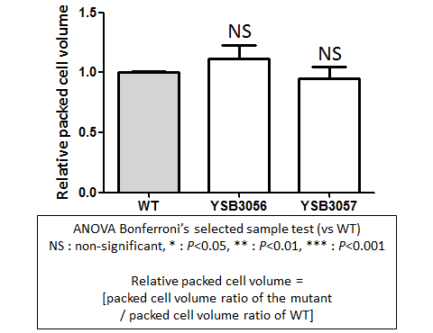Capsule phenotype for CNAG_07580T0