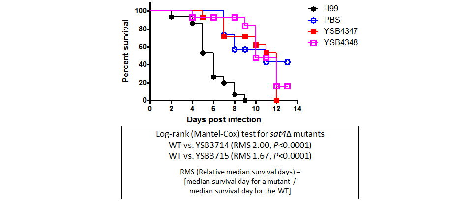 Galleria mellonella virulence data for CNAG_07667T0