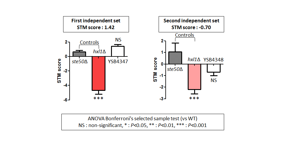 STM murine host model data for CNAG_07667T0