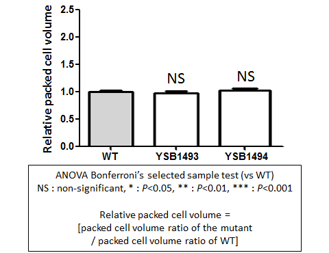 Capsule phenotype for CNAG_07744T0